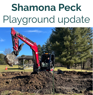Shamona Peck Playground update