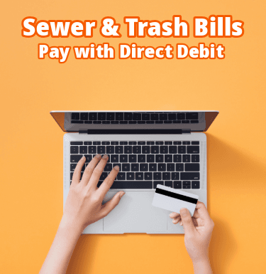 A laptop and a person holding a credit card. 