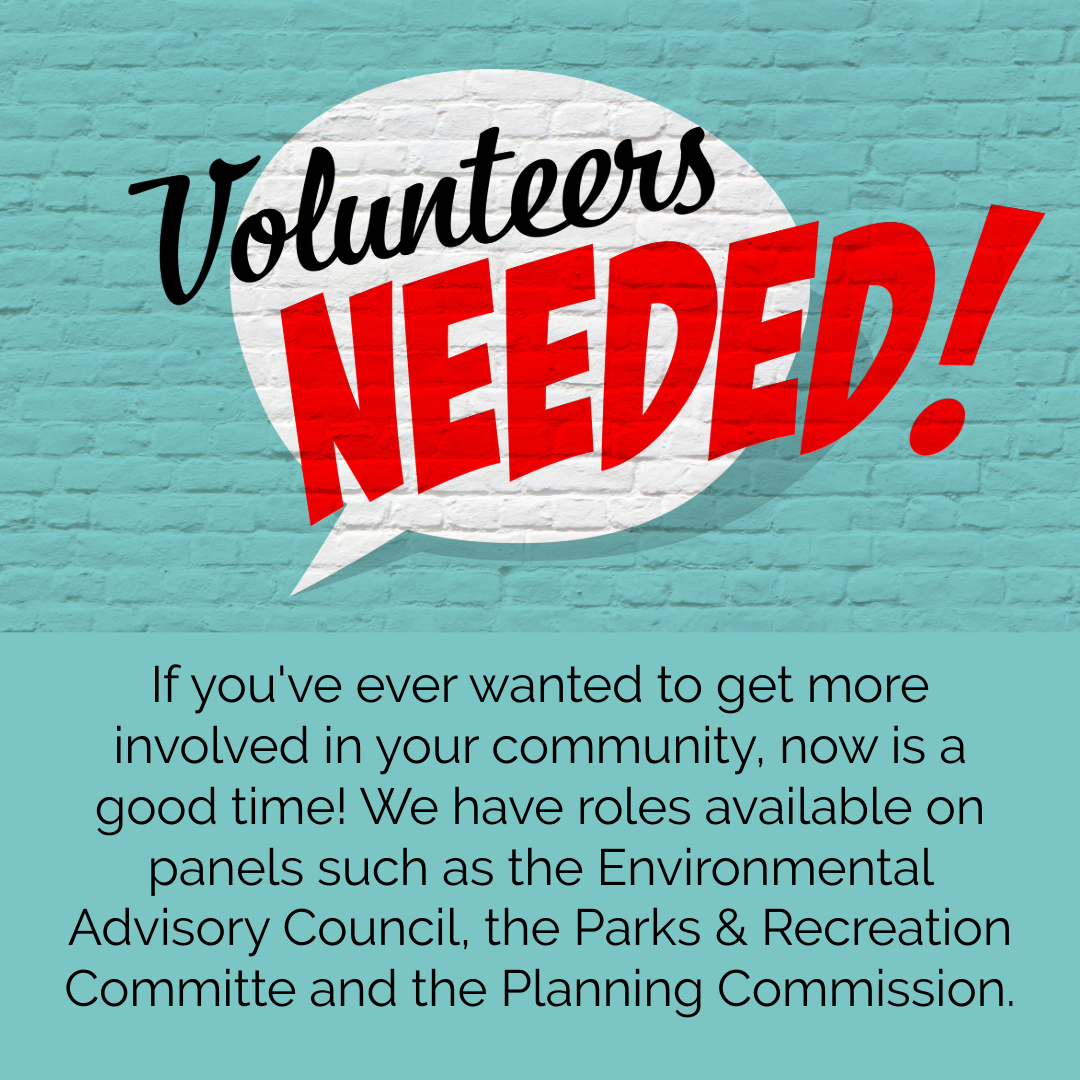 volunteers needed graphic